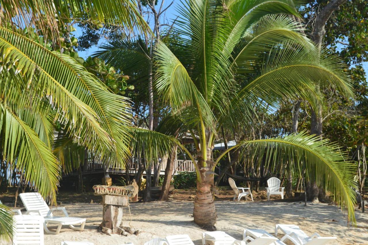 Sonny Island Resort Cabanas Frente Al Mar Punta Bajo Rico Luaran gambar